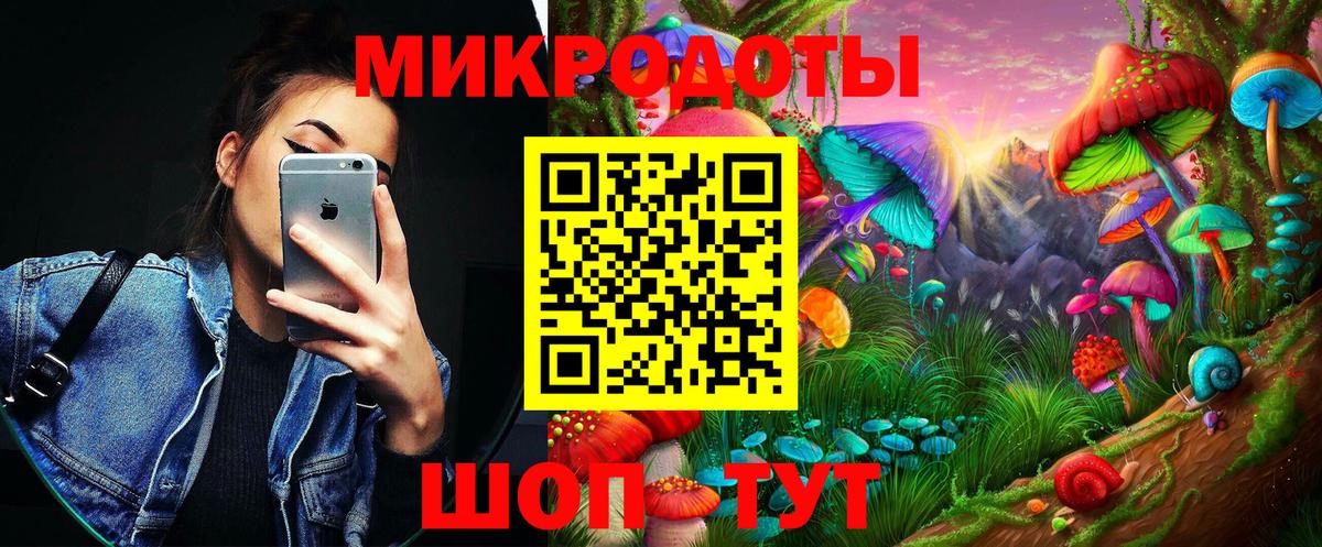 Псилоцибиновые грибы MAGIC MUSHROOMS  Вход с VPN  Сибай  закладки  Галлюциногенные грибы Psilocybe 
